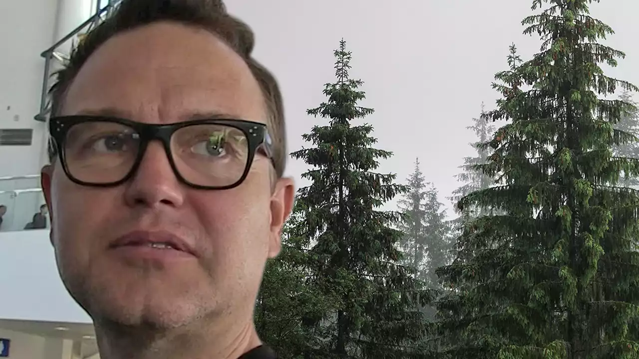 Blink-182's Mark Hoppus Sues Neighbor Over Pine Tree Blocking View