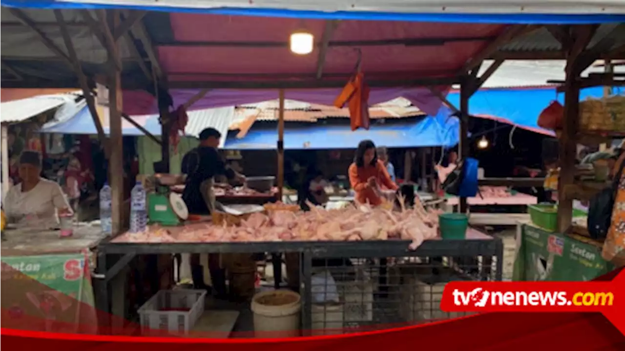 Harga Ayam Potong di Medan Tembus 45 Ribu, Pedagang Bakso Keliling Menjerit