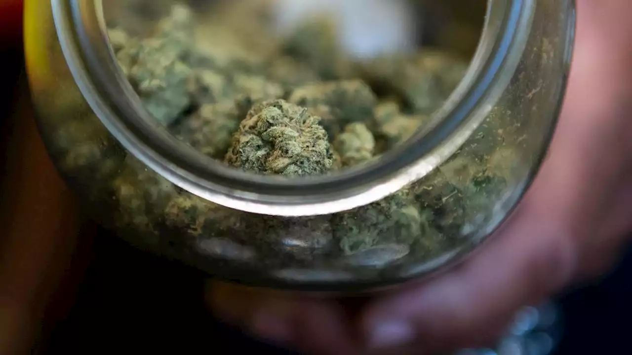 So dank it's illegal (literally): Man barred from smoking medical weed after neighbor sues