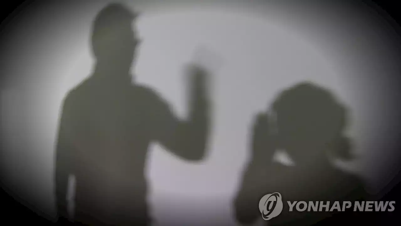 임신한 아내 배 걷어찬 '나쁜 남편'…경찰, 구속영장 신청 | 연합뉴스