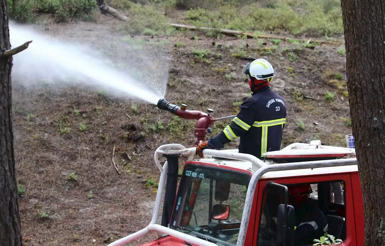 En Gironde, les pompiers s'exercent grandeur nature contre le feu de forêt