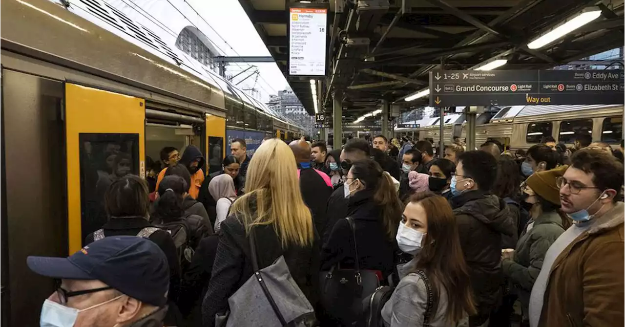 Sydney commuters set for major disruptions due to train trackwork