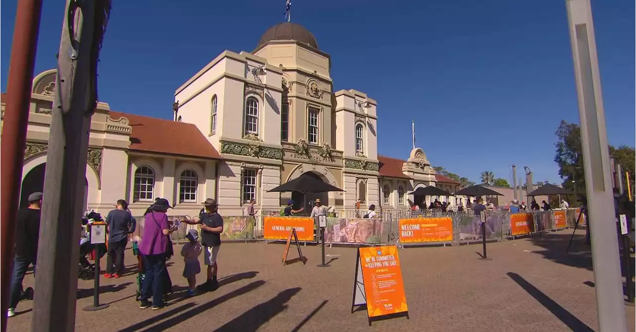 Taronga Zoo admits to underpaying casual staff by more than $2.5 million