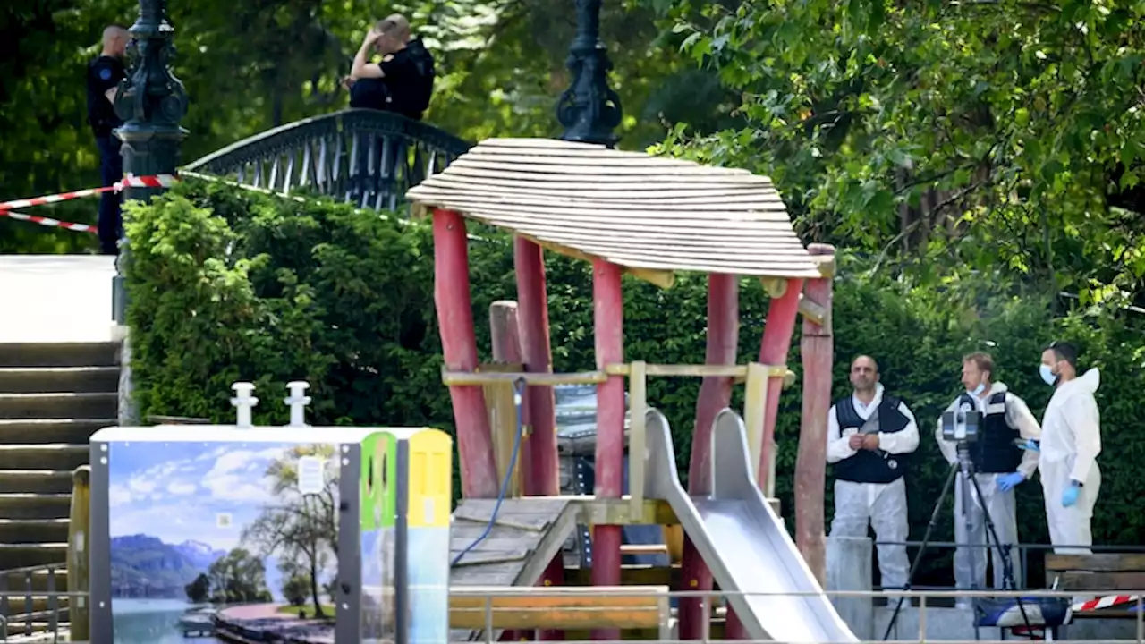 Four French toddlers in stable condition after wounding in park