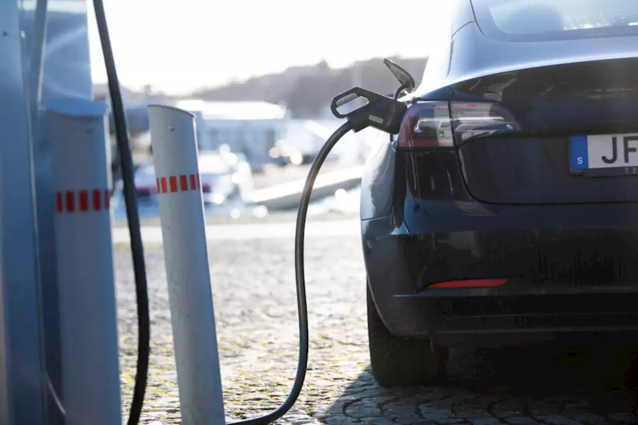 NACS växer: GM ansluter till Teslas laddningsnätverk | Affärsvärlden