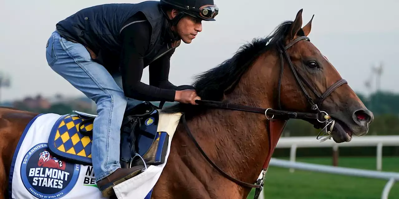 Belmont Park will resume live racing after air quality improves ahead of Belmont Stakes