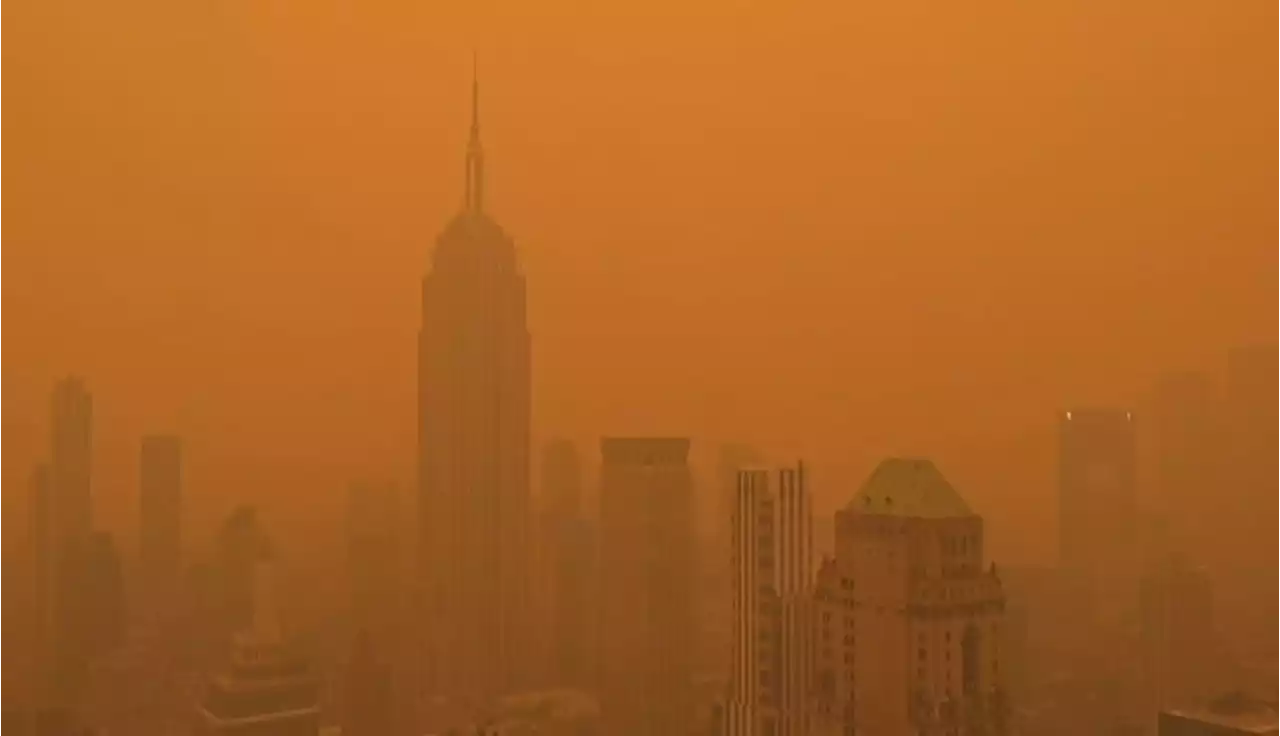 Nueva York la ciudad con la peor calidad del aire en el mundo – Inicio