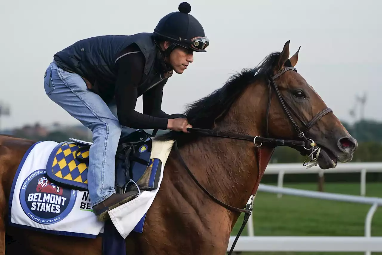 Belmont Park will resume live racing after air quality improves ahead of Belmont Stakes