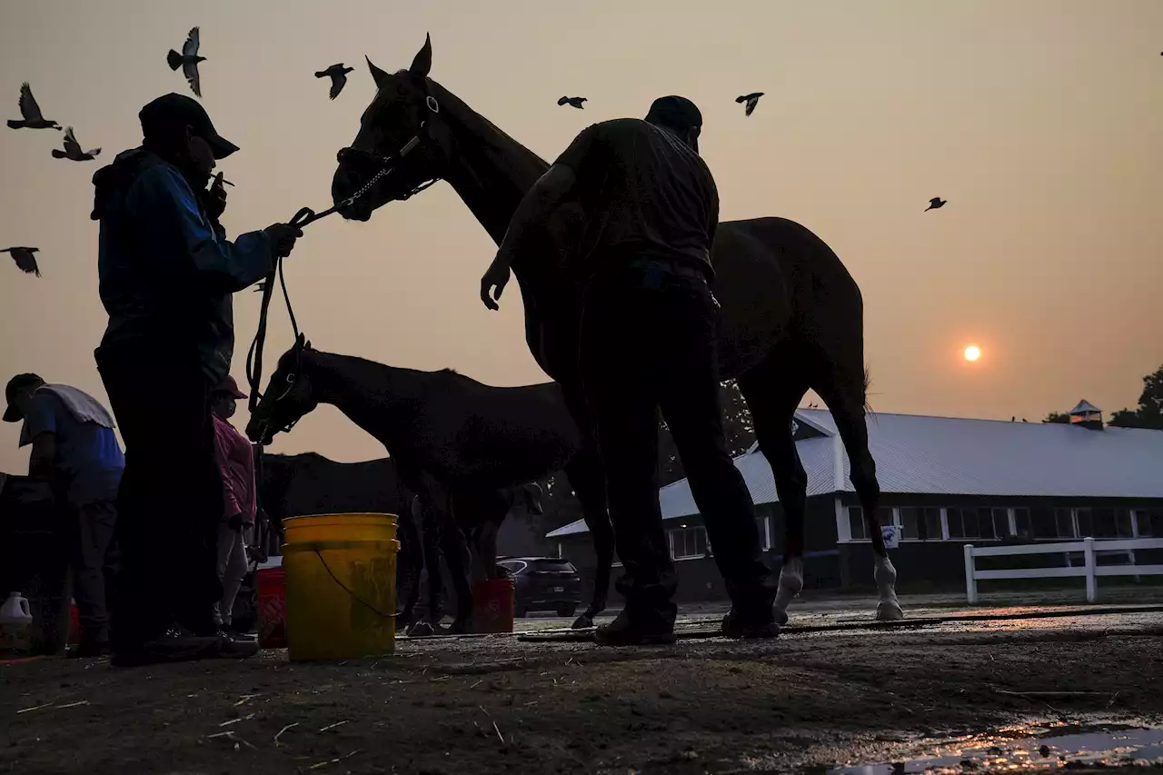 NY governor warns Belmont Stakes could be affected if air quality doesn't improve