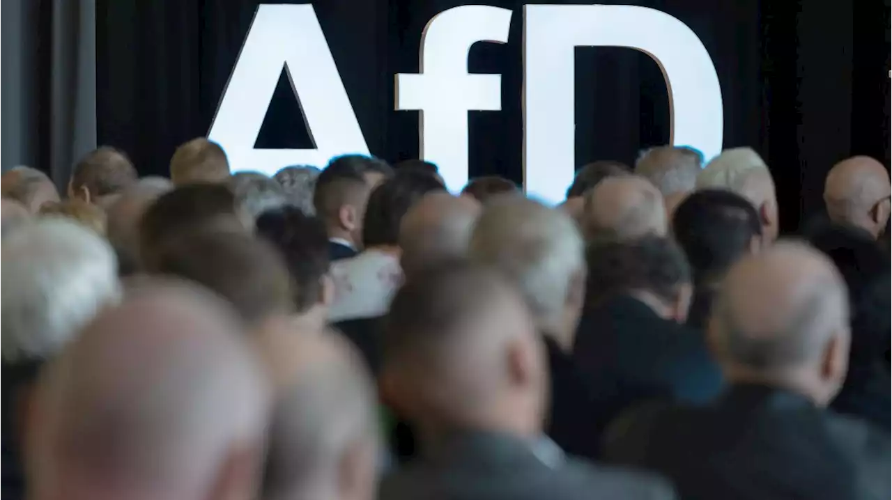 Die schleichende Normalisierung der AfD