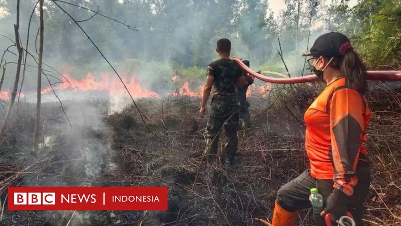 El Nino dimulai, tujuh provinsi Indonesia status siaga darurat bencana karhutla - BBC News Indonesia