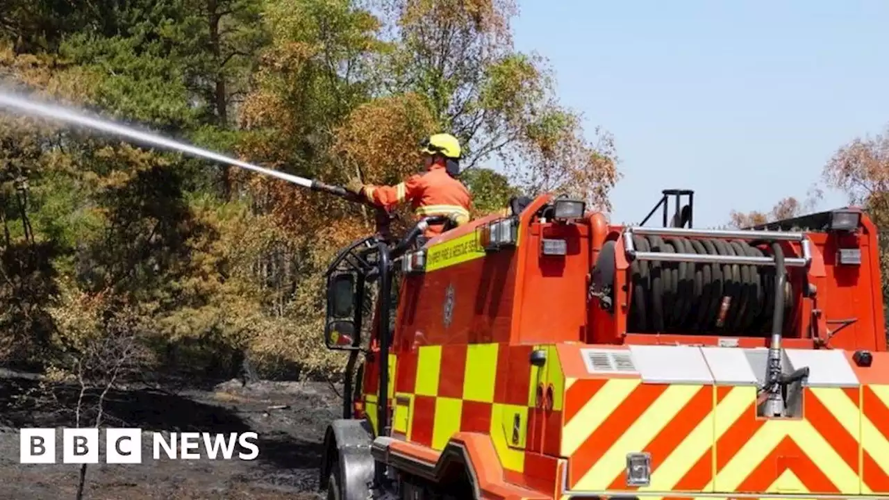 Wildfires: UK to set up new Mediterranean-style specialist units