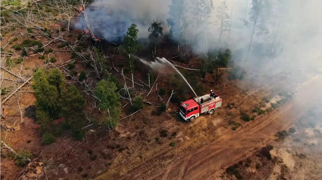 Lage bei Waldbrand bei Jüterbog entspannt sich