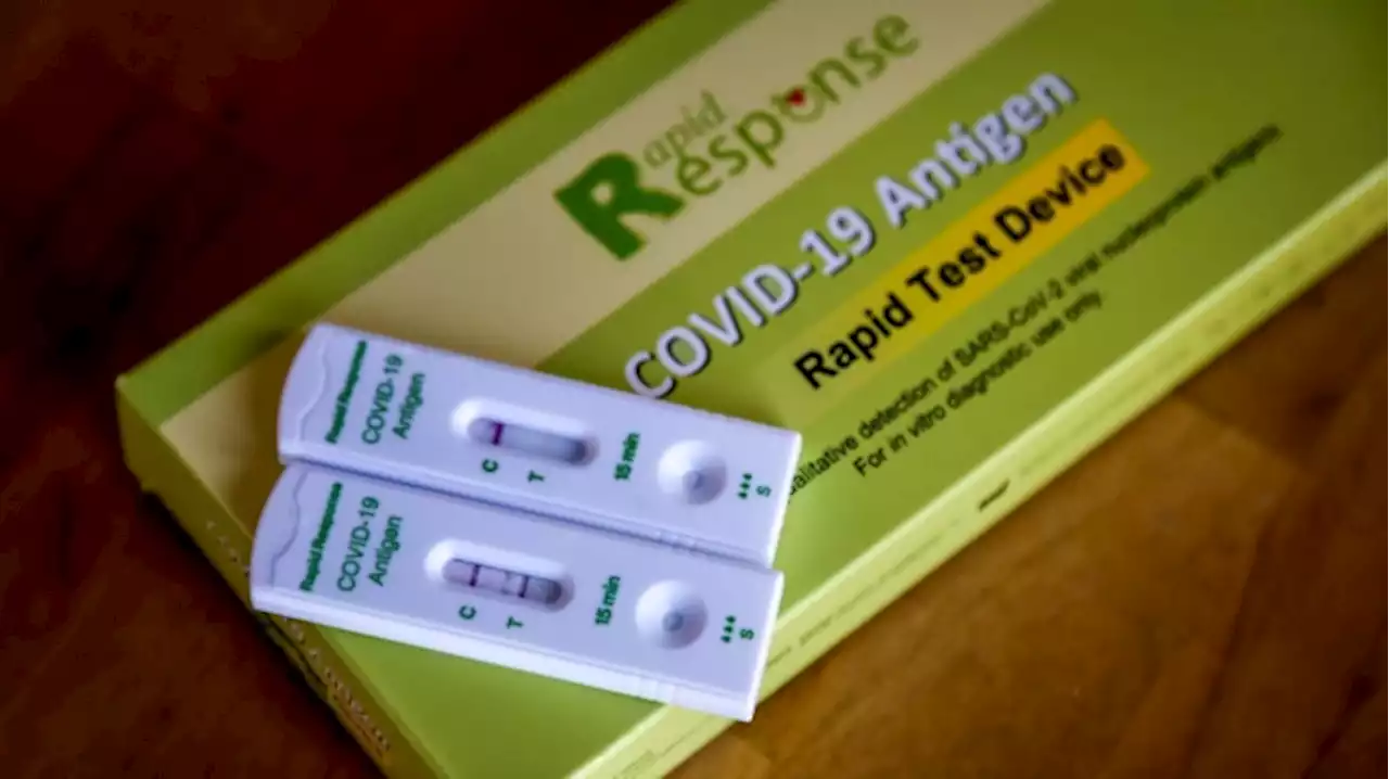 Ontario to stop free COVID-19 rapid test program in pharmacies, grocery stores