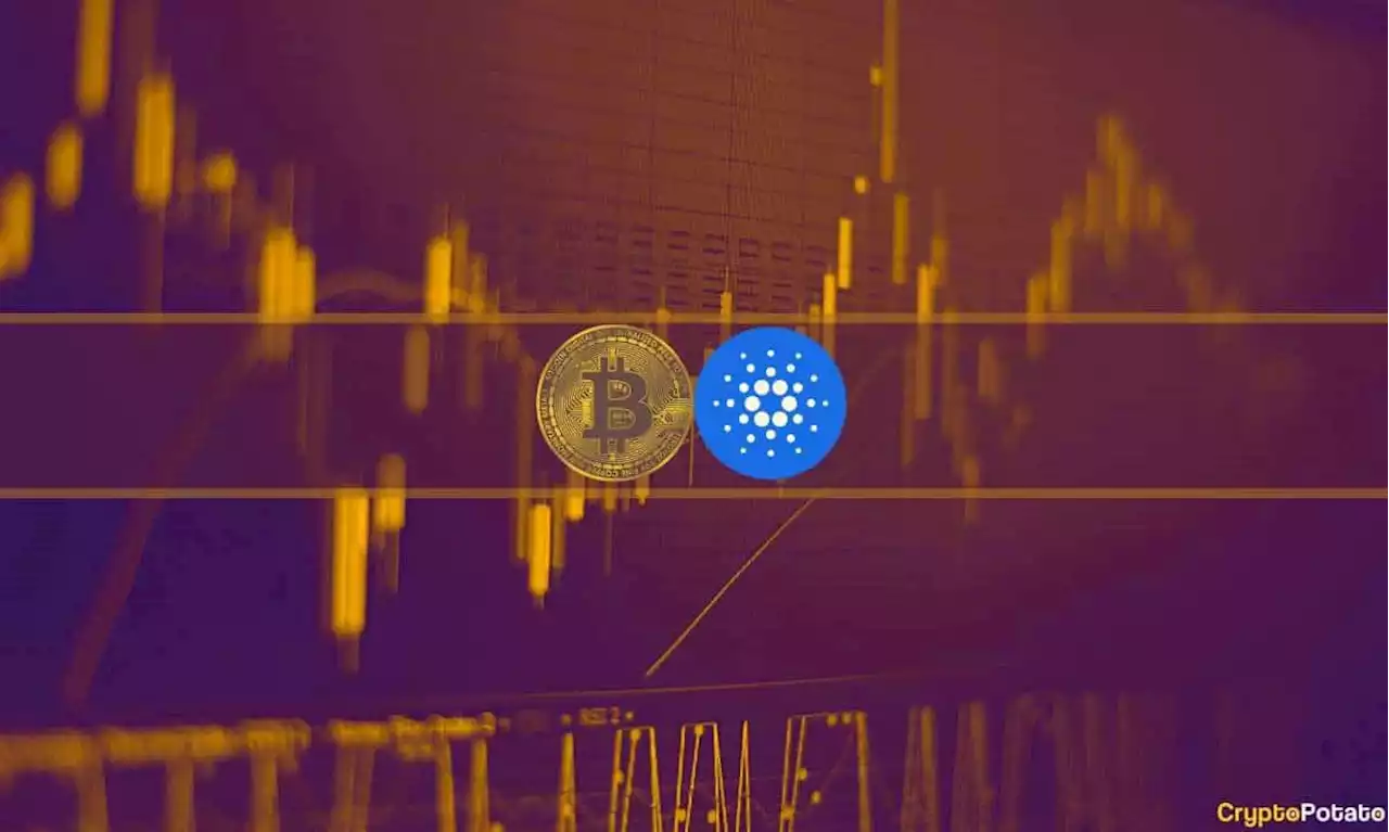 Bitcoin (BTC) Dominance on the Rise as Cardano (ADA) Slips 4% (Market Watch)