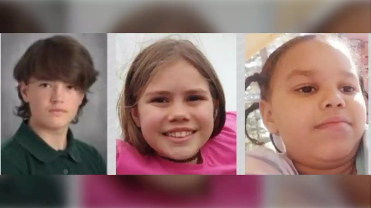 Ontario police search for 3 children from Muskoka area