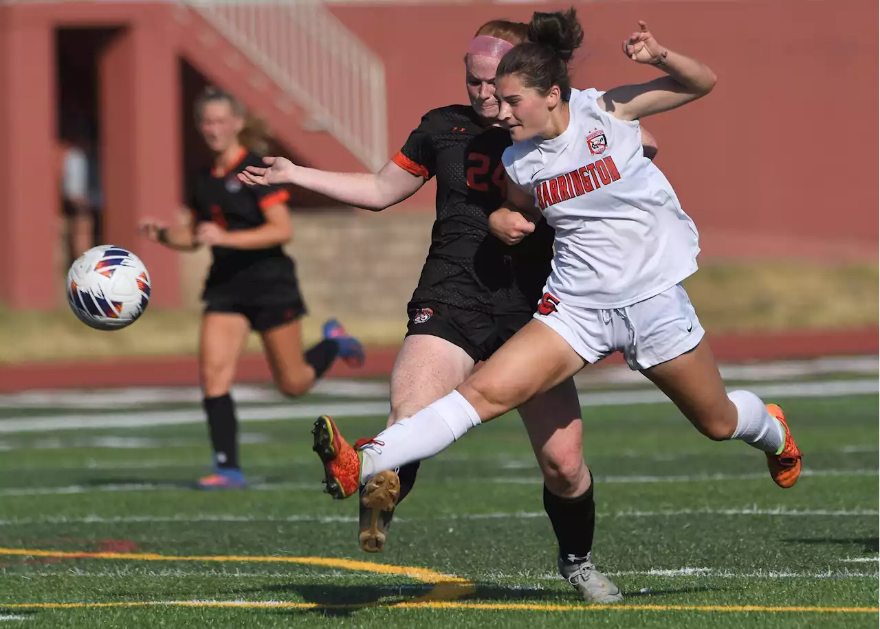 Cook County Girls Soccer All-Area Team