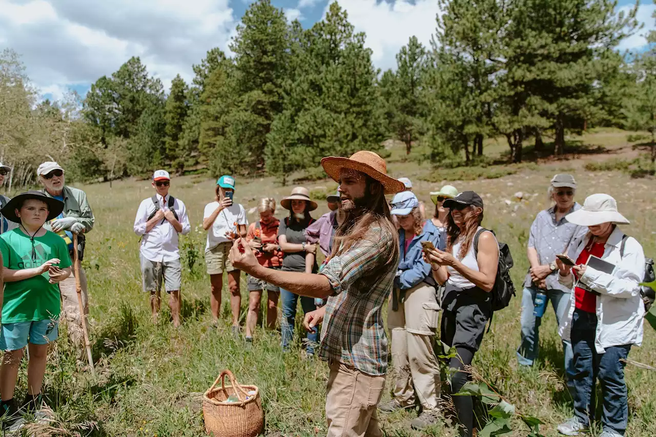 Boulder Museum of Contemporary Art Class Helps You Identify and Draw Local Mushrooms