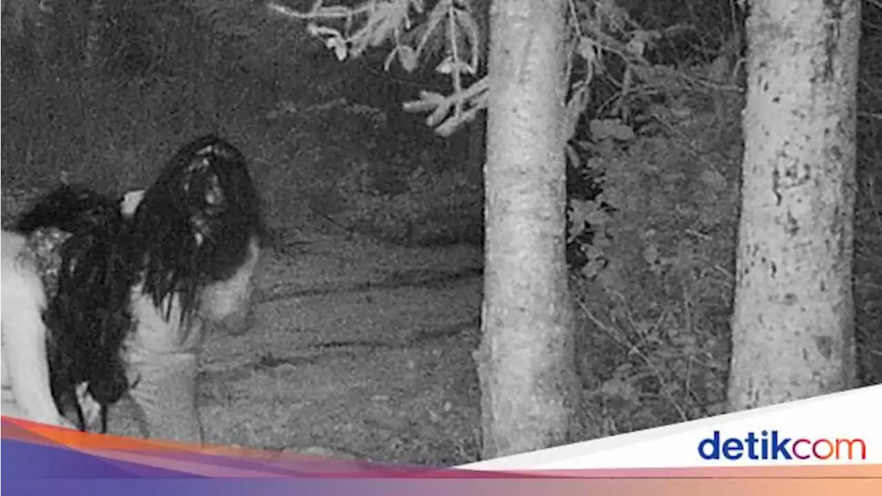 Ngeri, Kamera Rekam Sosok 'Penyihir' Makan Bangkai Rusa