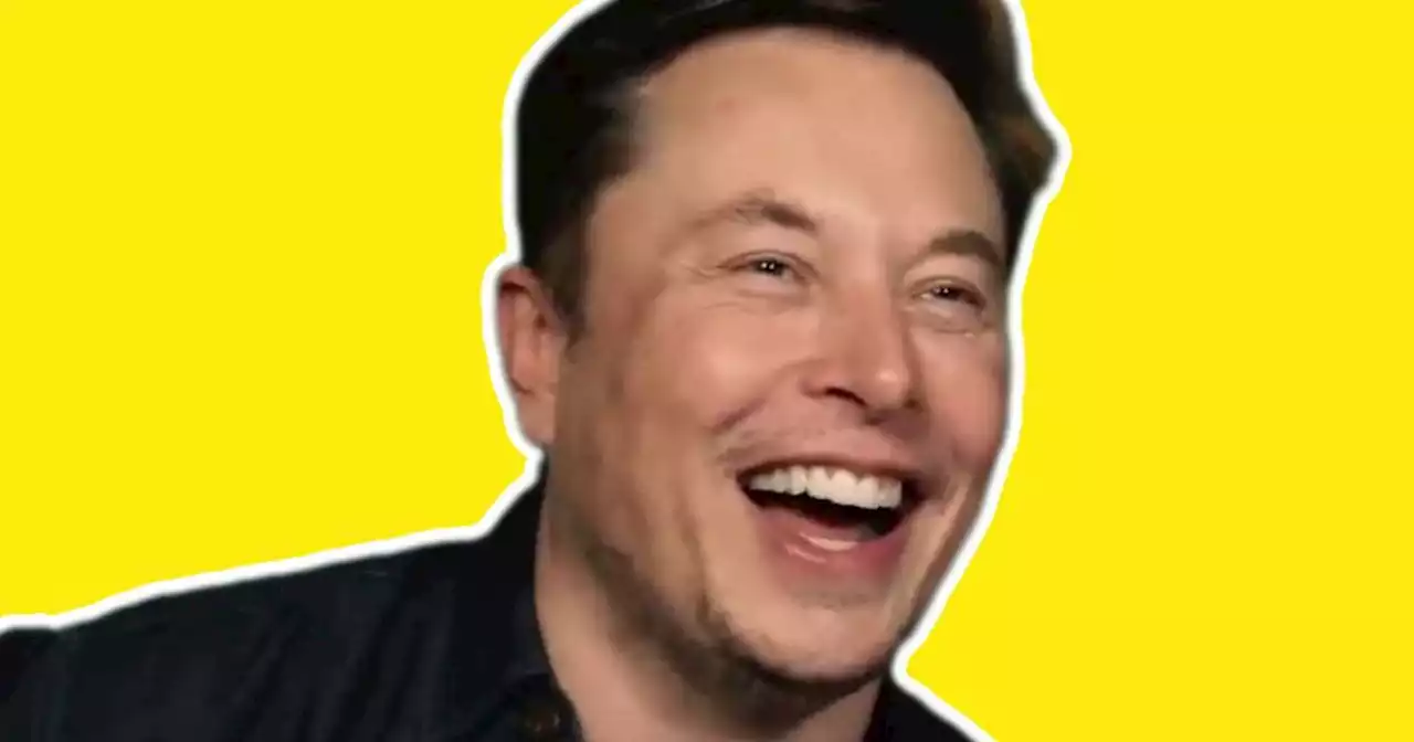 Elon Musk, el último en pronunciarse sobre los Apple Vision Pro y lo hace a su estilo: con un meme