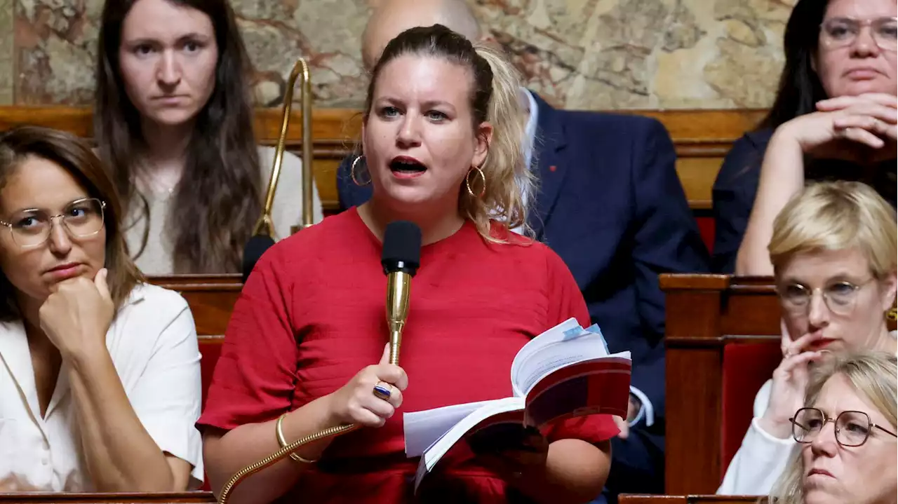 Mathilde Panot traitée de 'poissonnière' : la députée LFI veut une sanction contre le député RN