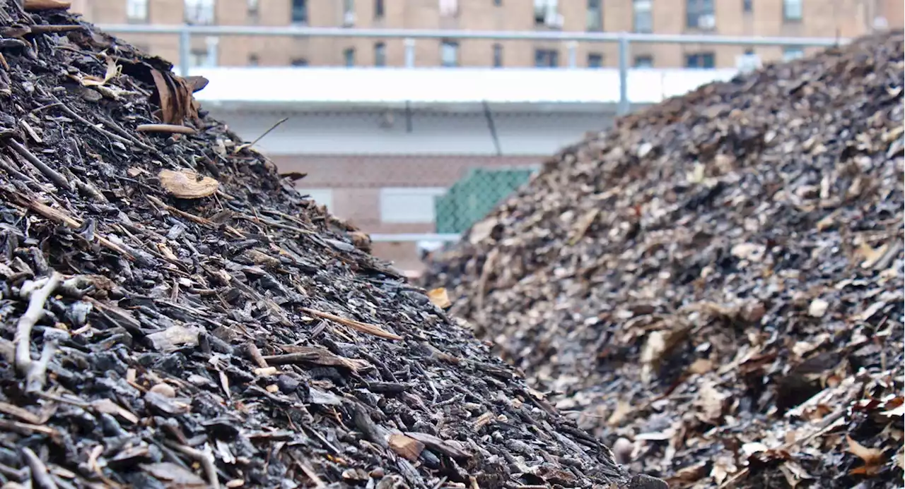 Mandatory composting coming soon to New York City