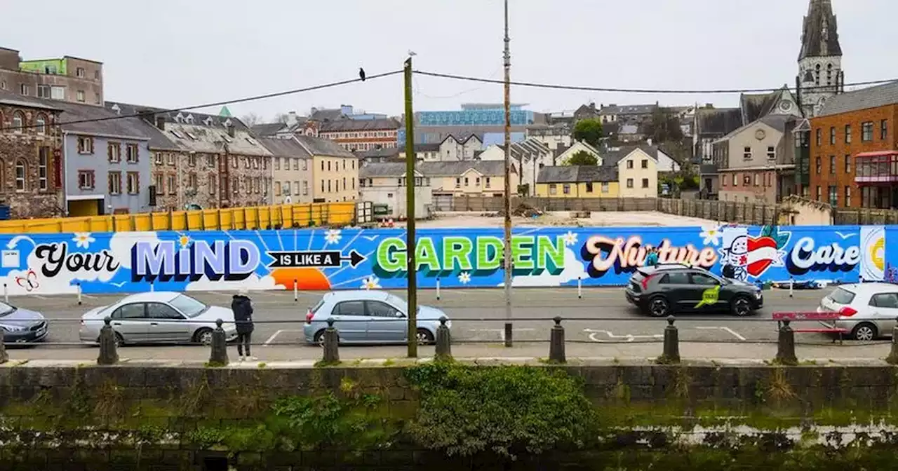 Boy rushes to save girl from water after late night incident in Cork