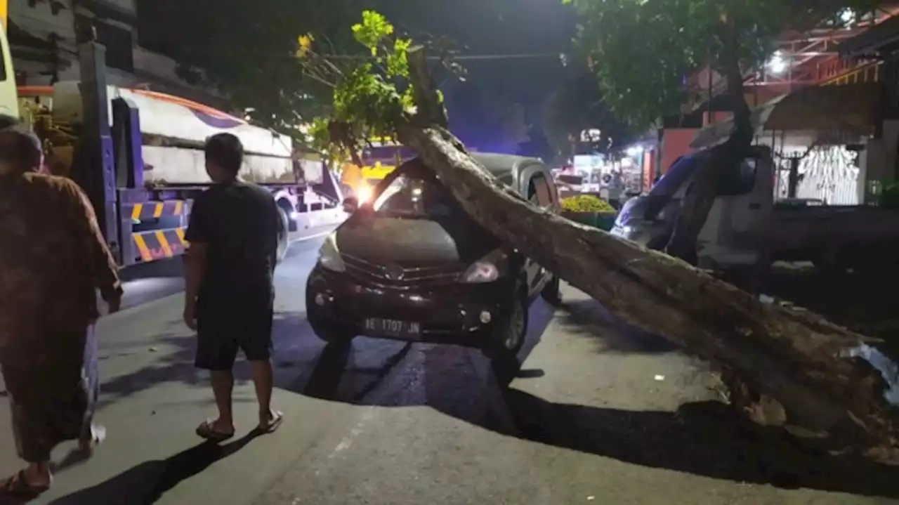 Pohon Keropos di Jalur Provinsi Timpa Mobil Hingga Penyok di Jombang