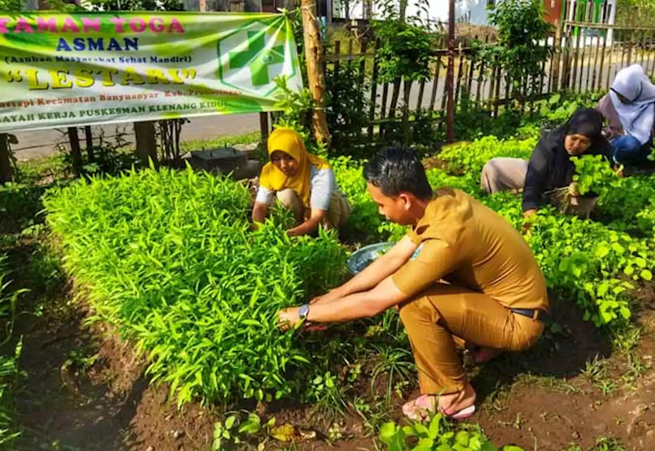 Tangani Stunting, Desa Alassapi Bentuk Asman Toga