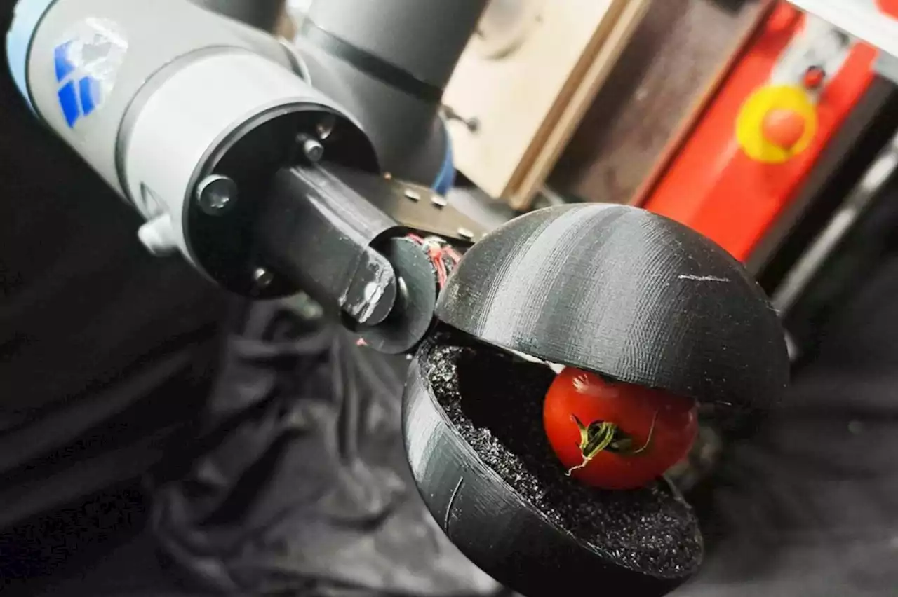 ChatGPT a imaginé cet étonnant robot, et c'est une première