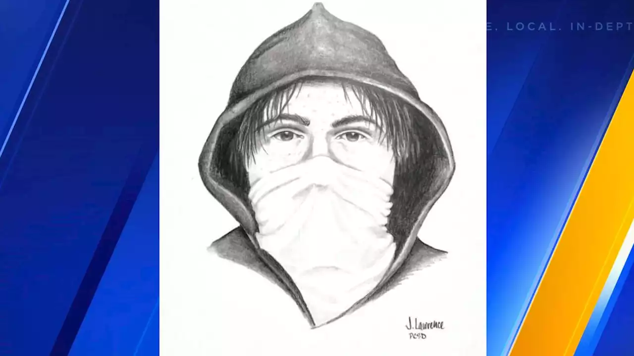 Sketch of suspect released after woman raped in Auburn neighborhood