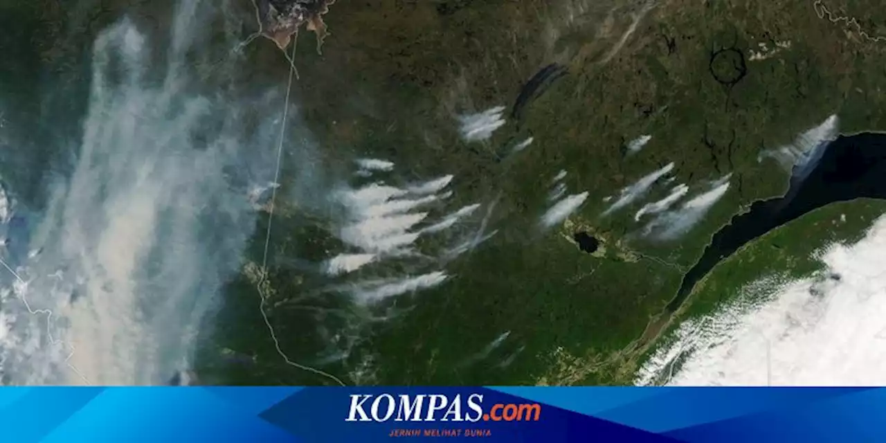 Luas Kebakaran Hutan di Kanada Sudah Lampaui Sepertiga Pulau Jawa