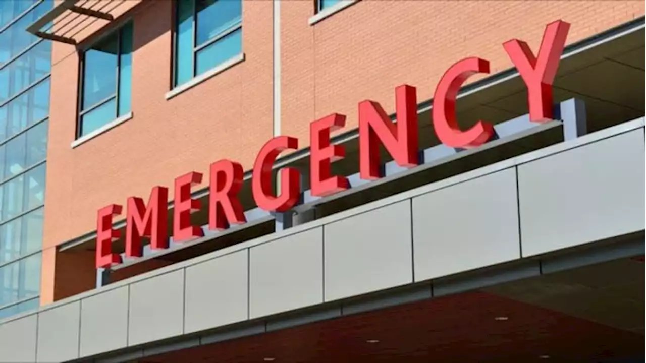 Elevated walkway collapses in Texas beach city, injuring dozens