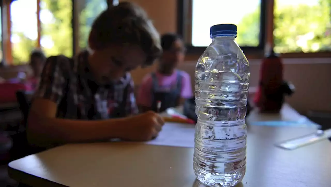 Toulouse : en cas de la canicule, les établissements scolaires vont devoir s'adapter à leur environnement