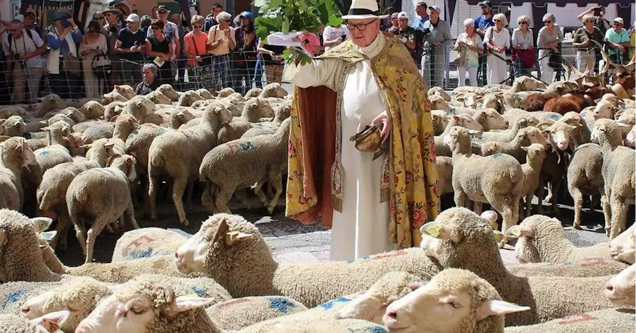 De la Provence aux Alpes, les sonnailles vont tinter ce week-end...