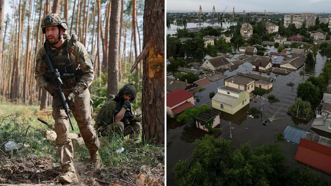 Ukraine launches counter-offensive against Russia as Western tanks hit frontline