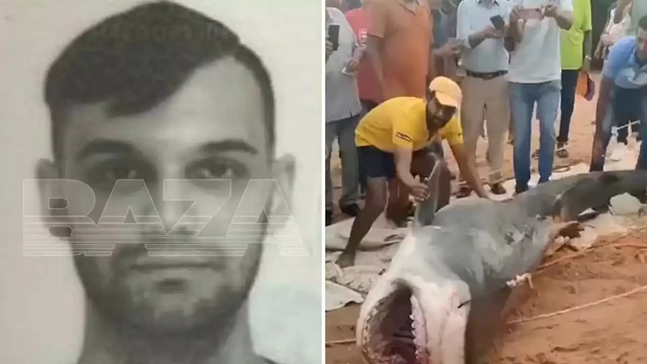 Killer shark that ate Russian tourist at beach in Egypt kicked by fishermen