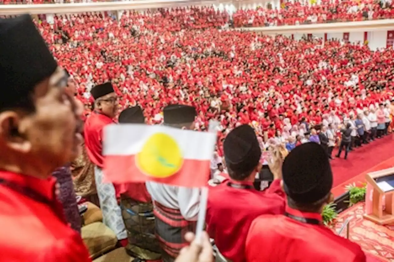 Delegates: Umno needs to be rebranded as party of the future