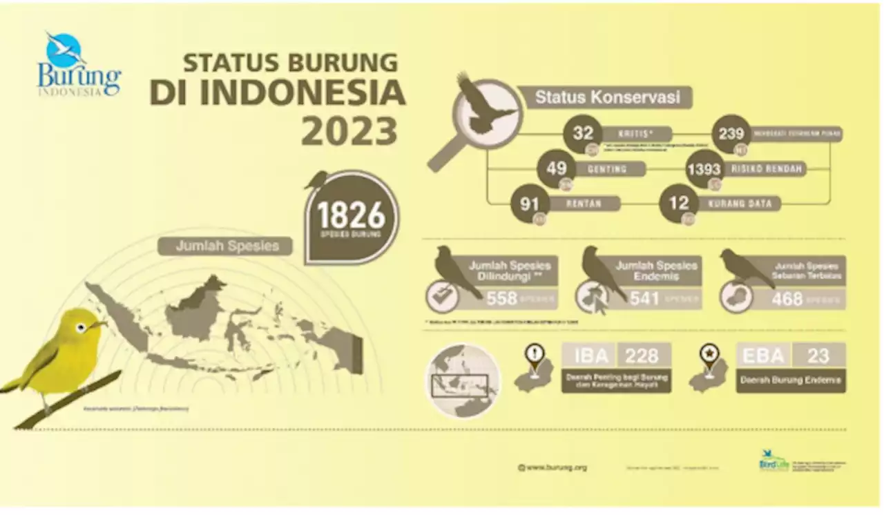 Indonesia Kokohkan Gelar 'Negara dengan Spesies Burung Endemis Terbanyak di Dunia'