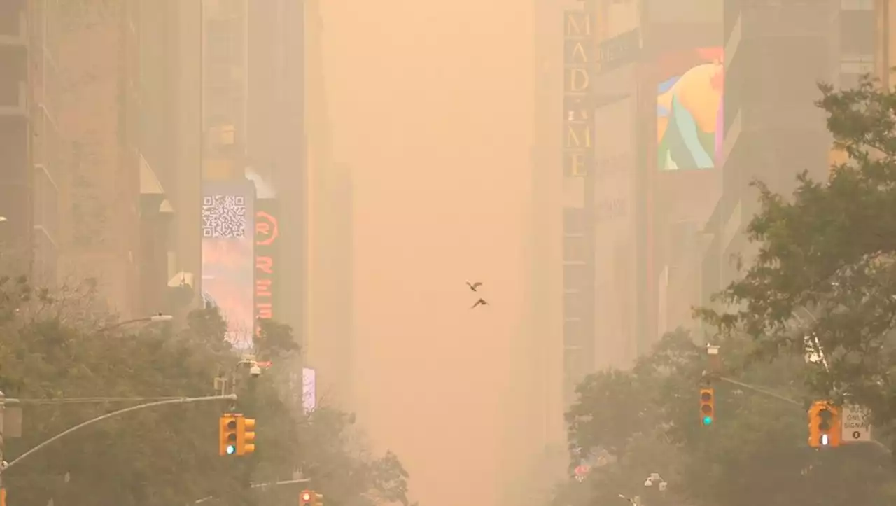 Incendies au Canada : la France bientôt envahie par les fumées ? Elles touchent déjà le nord de l'Europe