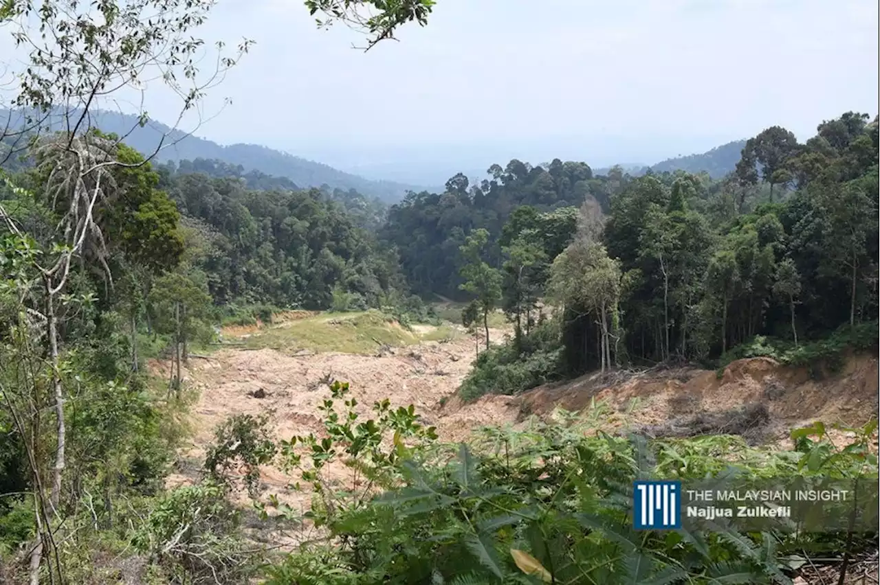 Batang Kali landslide site remains closed | The Malaysian Insight