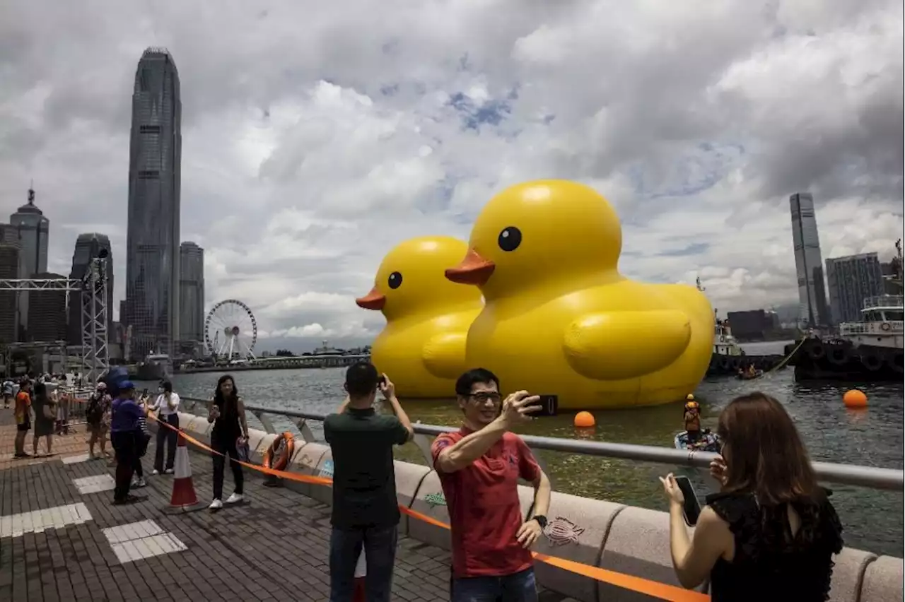 Giant duck brings a friend home to roost in Hong Kong | The Malaysian Insight