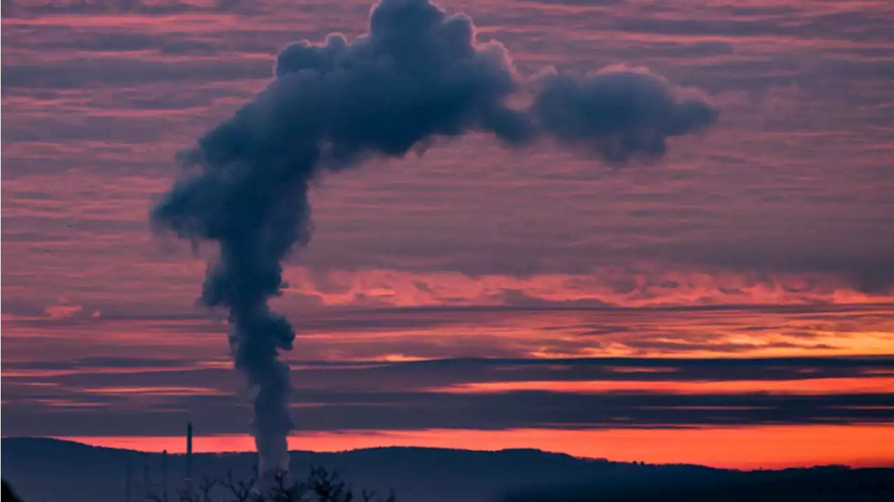 WA's second carbon auction nets $500M, gas prices could jump