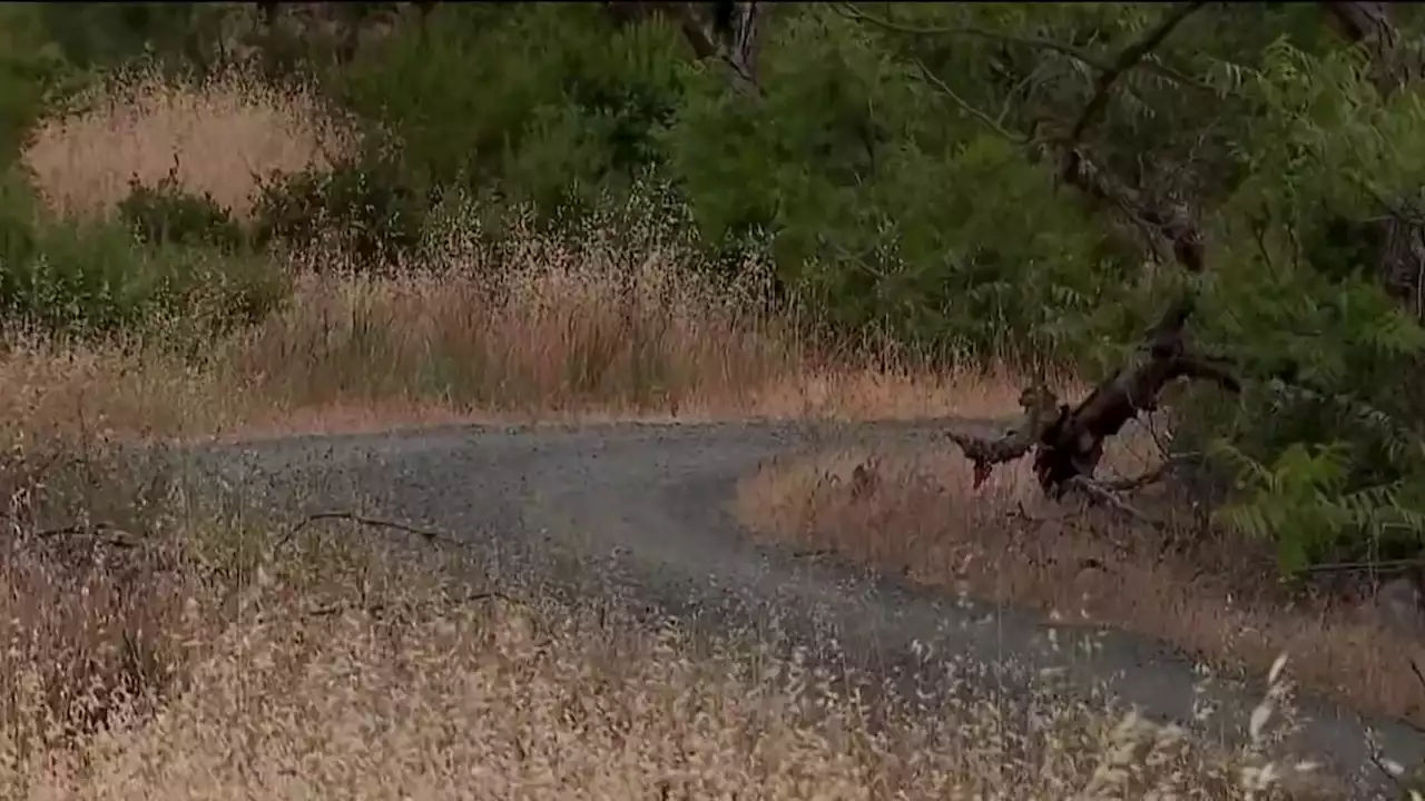 Boy in stable condition after apparent rattlesnake bite at Mt. Diablo State Park