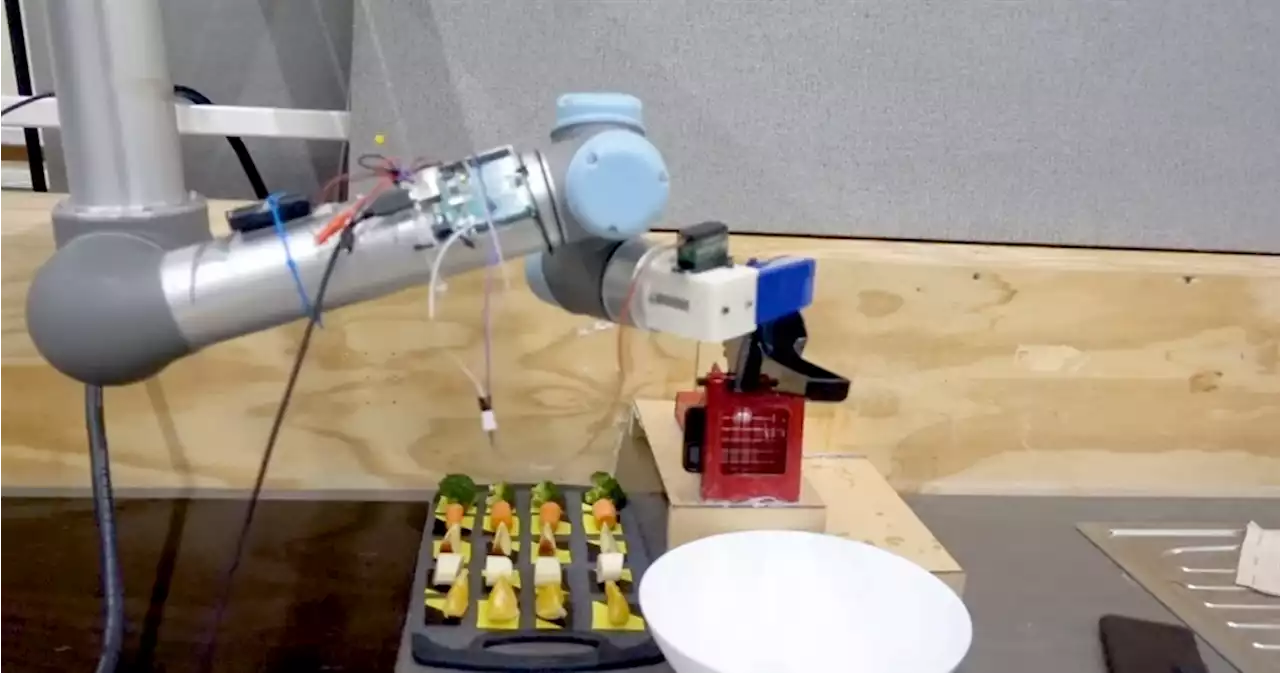 WATCH | Artificial cooking: How a robot is learning to become a salad chef | News24