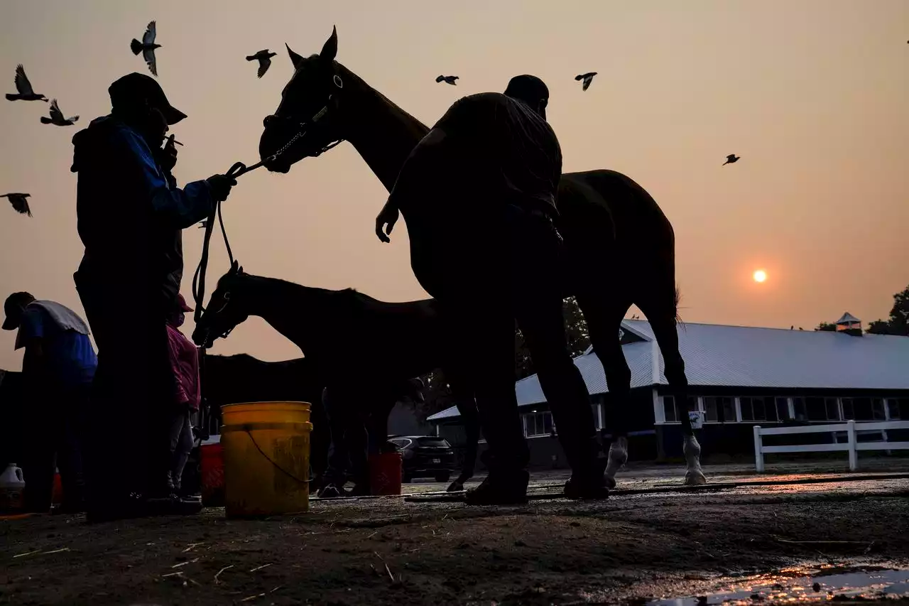 Belmont Park resumes horse racing as air quality improves