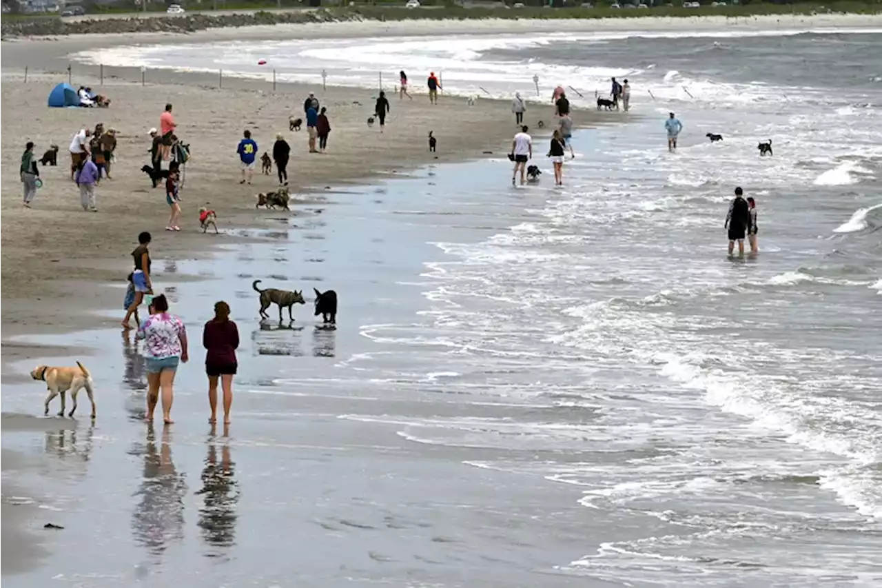 Jersey Shore officials say smoke is clearing and they expect crowds on the beaches this weekend