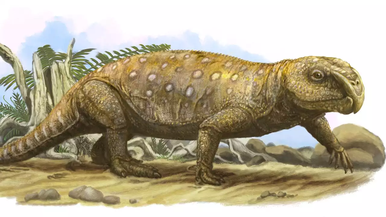 This ancient reptile had a deadly vegetarian diet