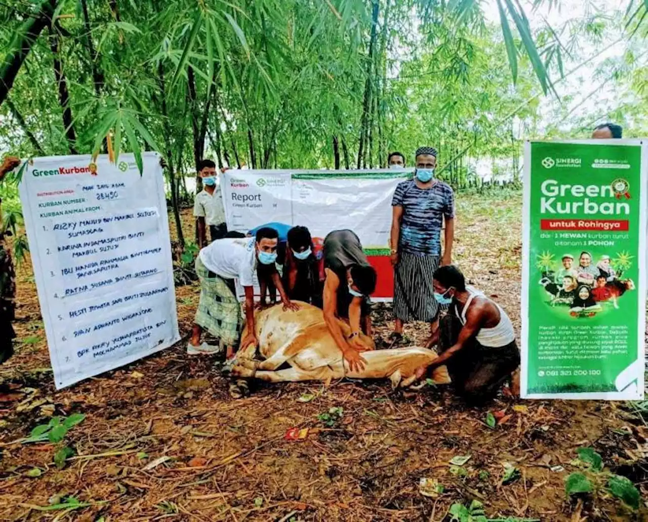 Krisis Pangan Rohingya, Sinergi Foundation Salurkan Kurban Tahun Ini |Republika Online