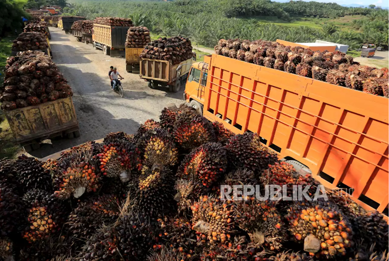 Limbah Sawit Bisa Menjadi Sumber Energi Terbarukan |Republika Online